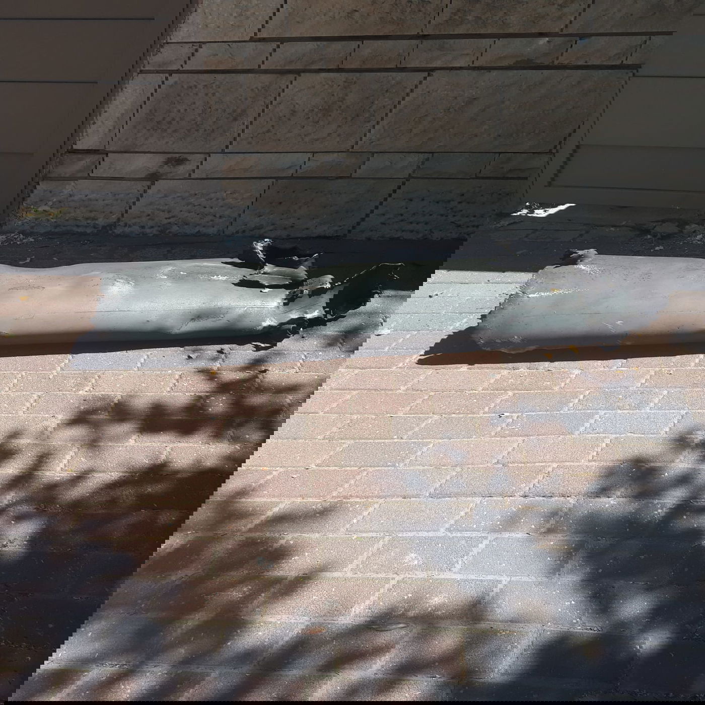 הנפילה במושב זוהר