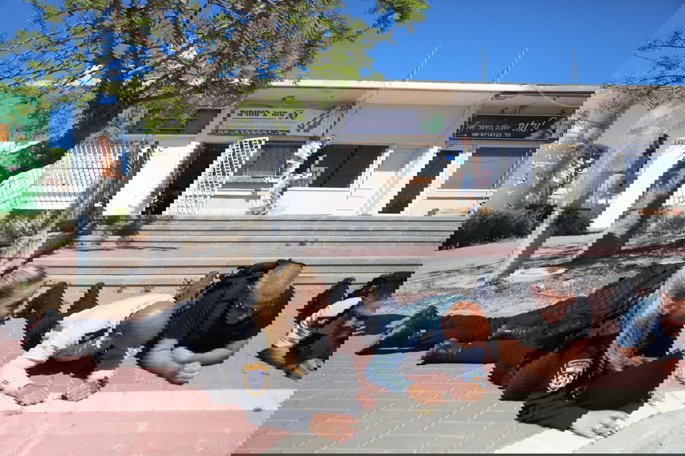 הדרום מותקף: גלריה מיוחדת מזירת לחימה