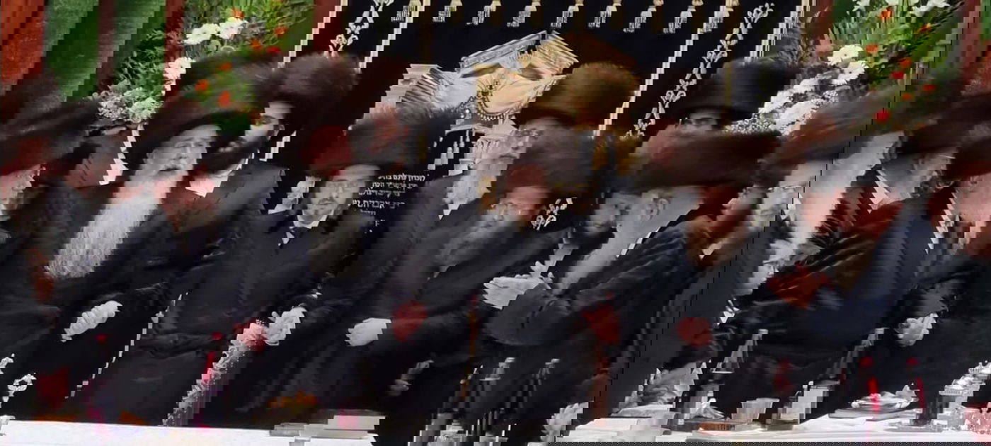 לימוד תורה ו'טיש': כך ציינו את חג השבועות בסאדיגורה