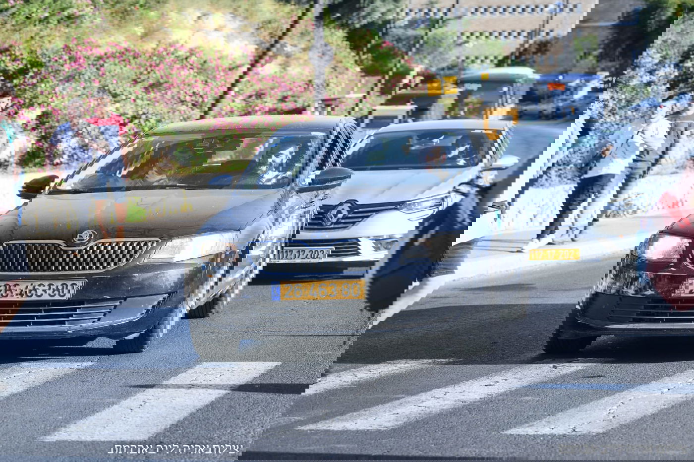 זופניק בכיכר • כל התמונות והנייעס של השבוע