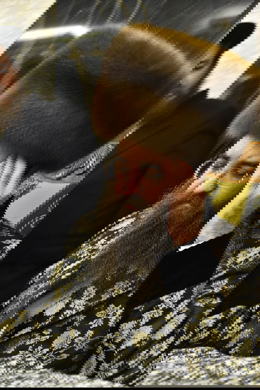 האדמו"ר רקד את 'ריקוד השמות' עם ספר התורה • צפו