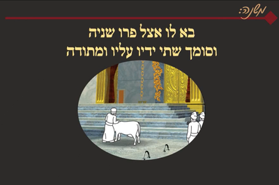 מסכת יומא, דף מ"א • סיכום והמחשה של הדף היומי