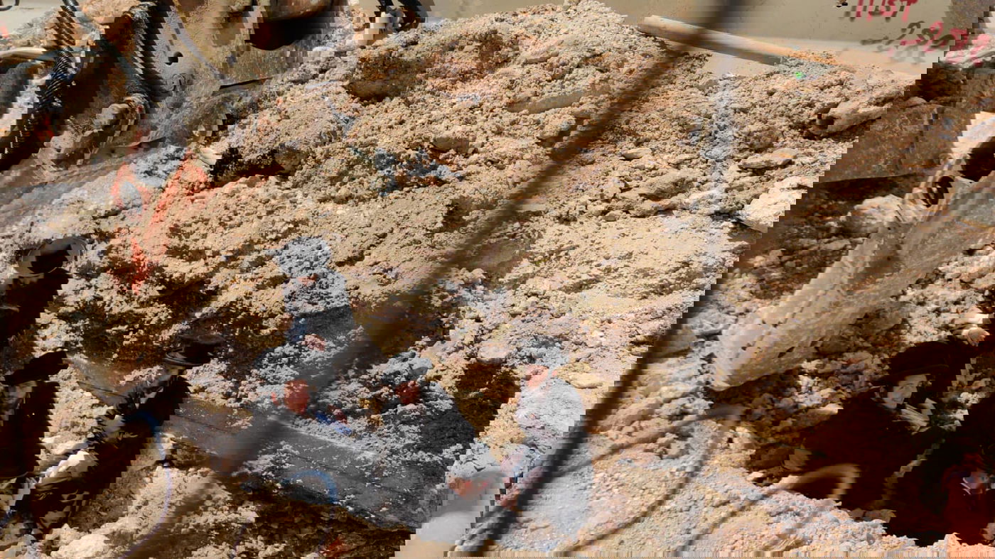 אב ובנו ו-6 מפגינים נעצרו בצומת בר אילן