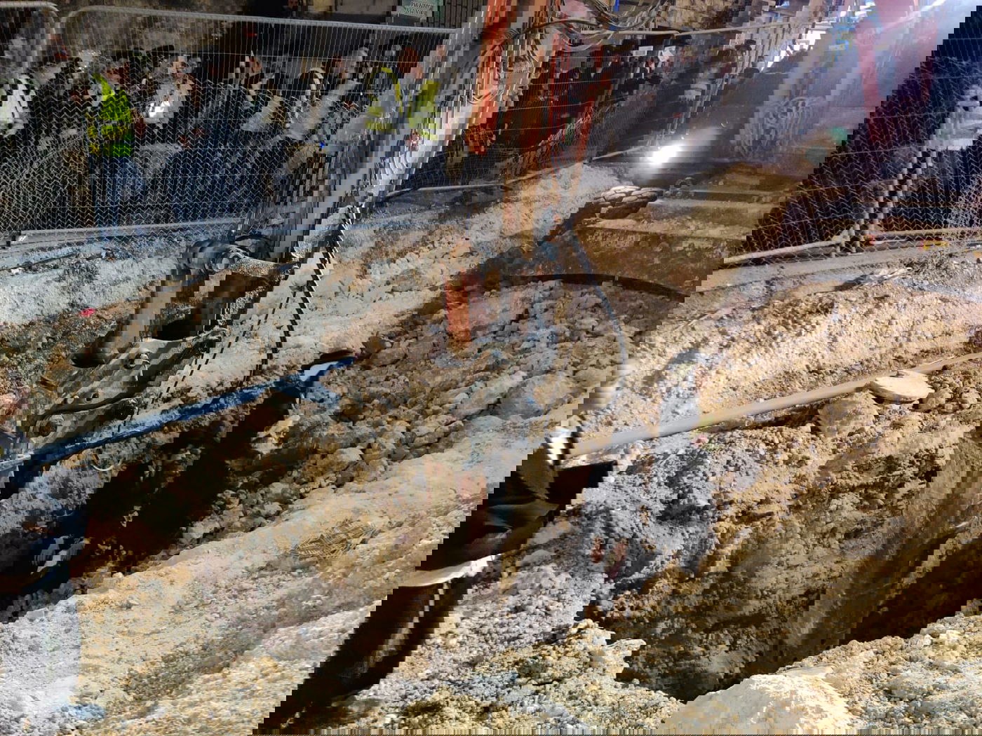 עשרות הפגינו נגד הרכבת הקלה; ארבעה נעצרו