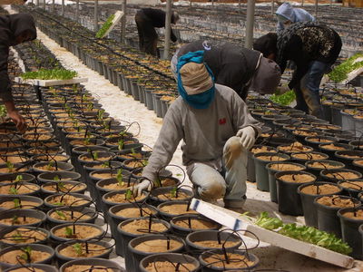 בביקור בירדן. צילום באדיבות ׳יורה דעה׳