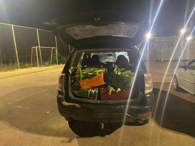 נעצרו כמה חשודים בגניבת תוצרת חקלאית