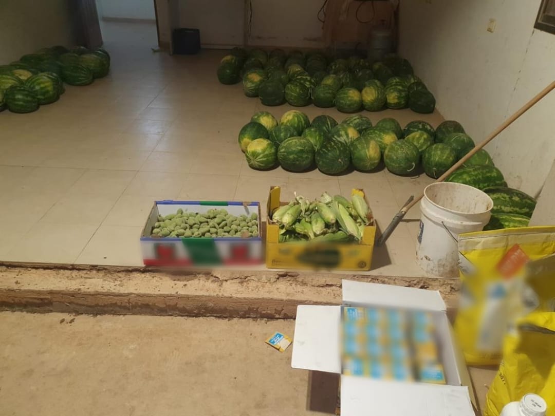 נעצרו כמה חשודים בגניבת תוצרת חקלאית