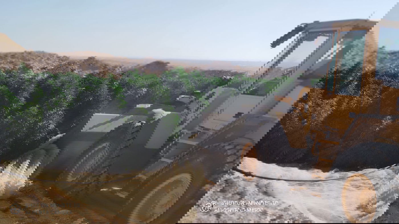 המשטרה השמידה כ-44 אלף שתילי קנאביס