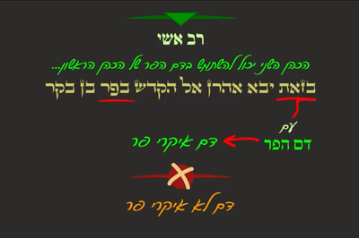 מסכת יומא, דף נ' • סיכום והמחשה של הדף היומי