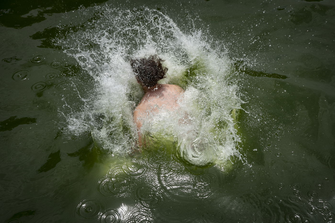 אילוסטרציה