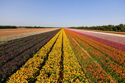 התחזית: תחול ירידה ניכרת בטמפרטורות