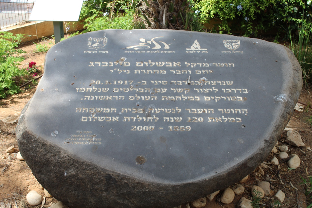 חוטר מהדקל המקורי הובא לבית אבשלום פיינברג בחדרה