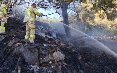 כך לוחמי האש הצליחו להשתלט על השריפה הגדולה