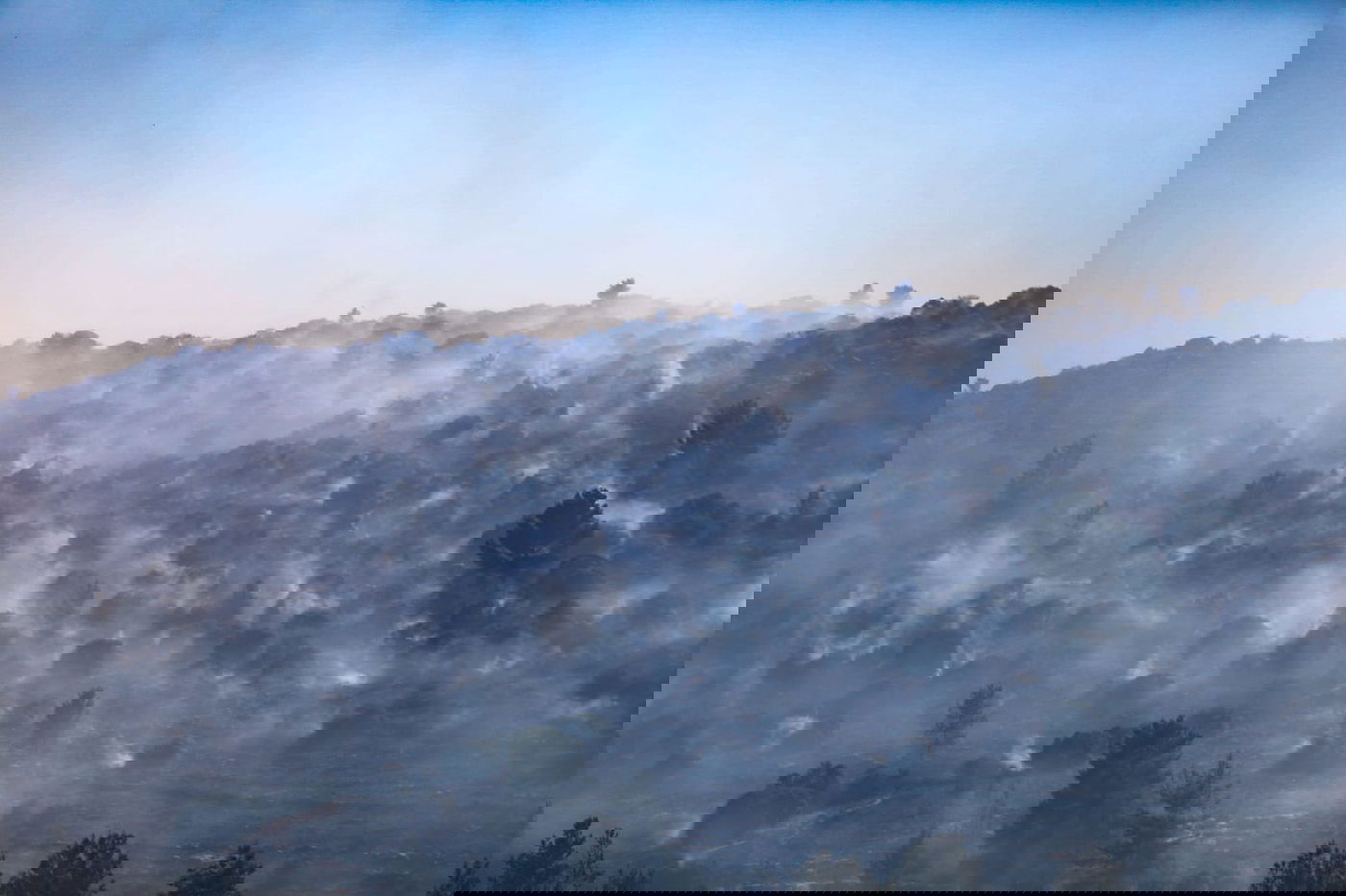 במהלך השבת התחדשה האש בצור הדסה