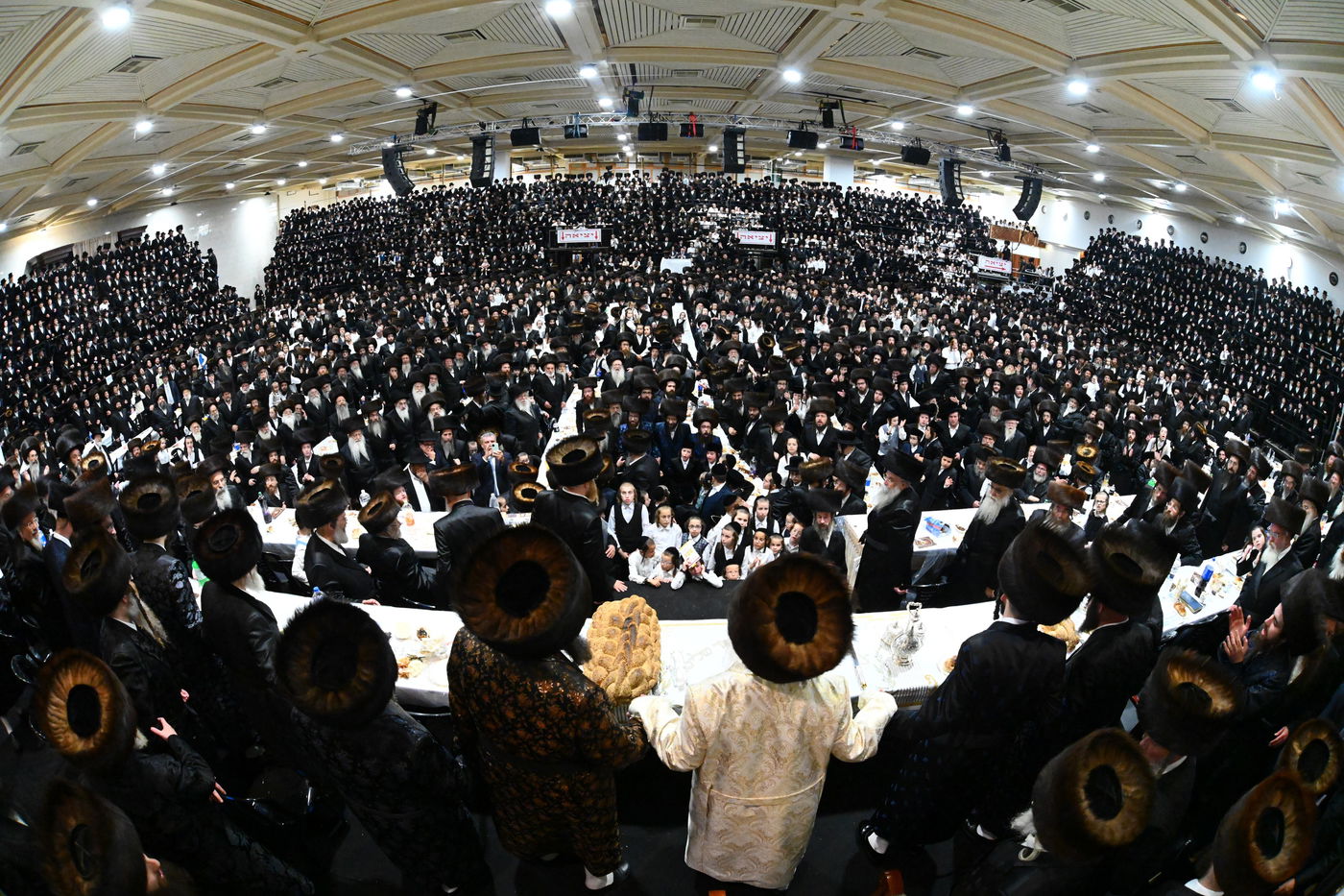 תיעוד: אלפים בחתונת נכדתו של האדמו"ר