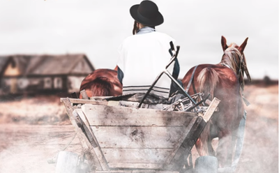 דוד פדר מארח את מאיר אדלר: "פועל'ט אלעס גוטס"