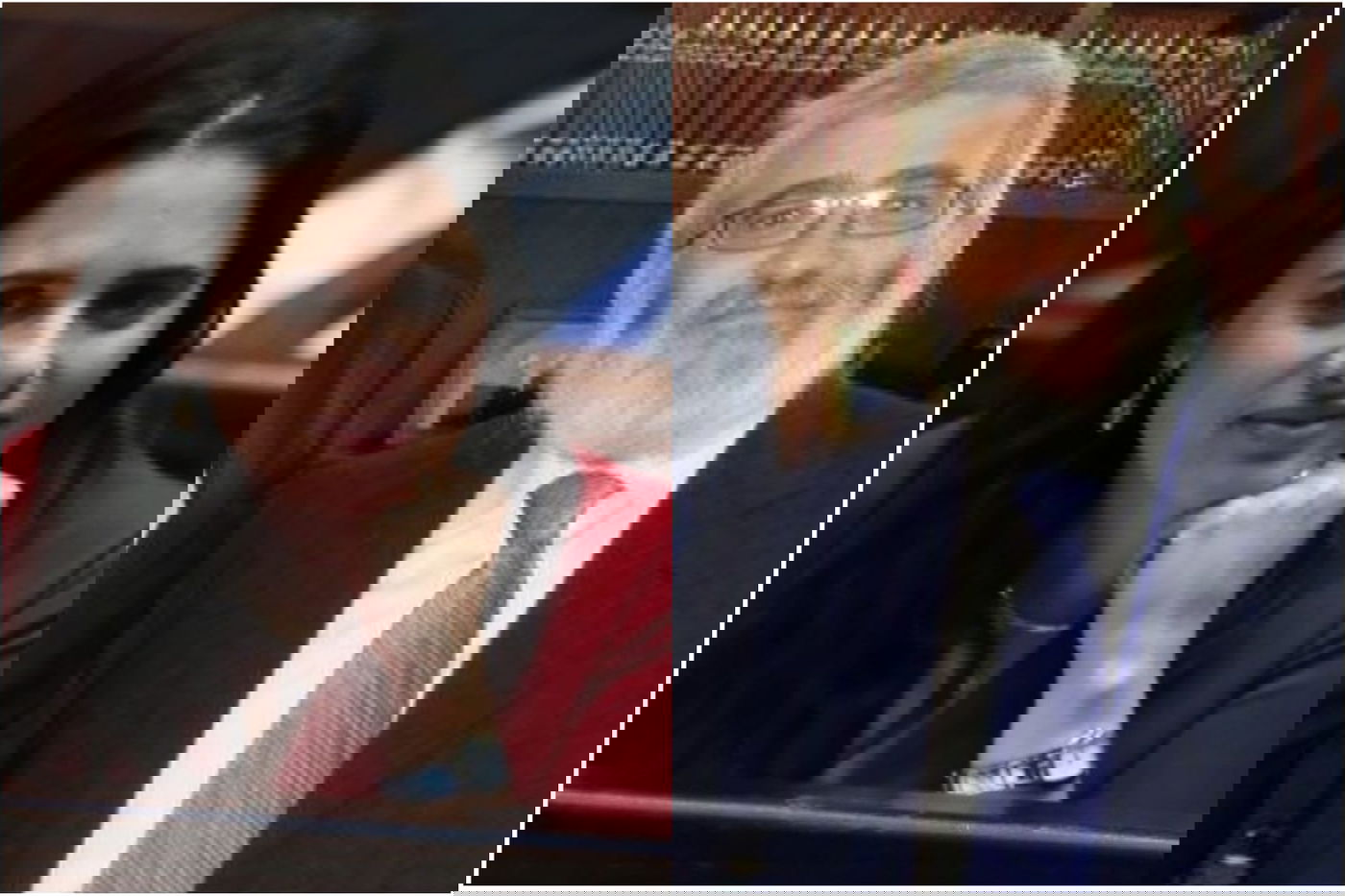 גוטניק ושקד