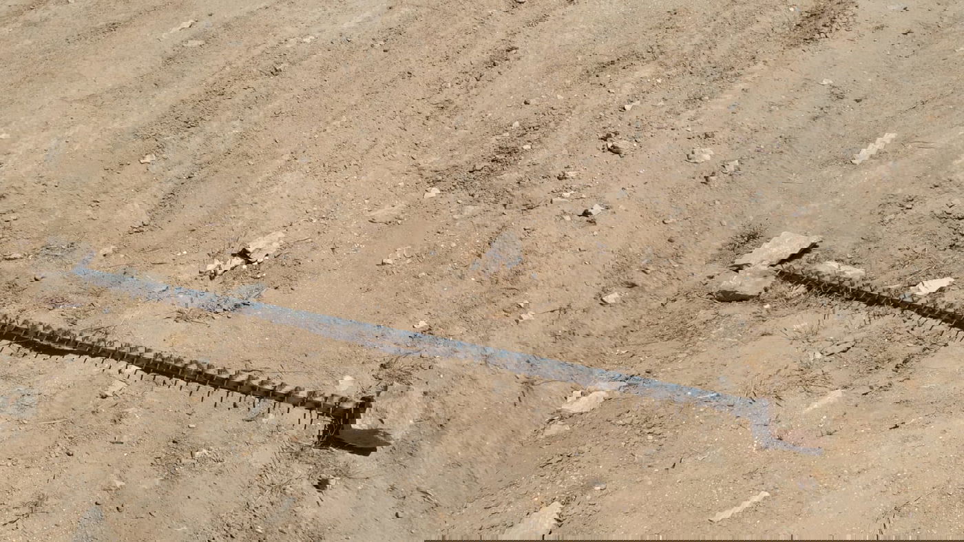 כך השמידה המשטרה שטחי גידול של מריחואנה