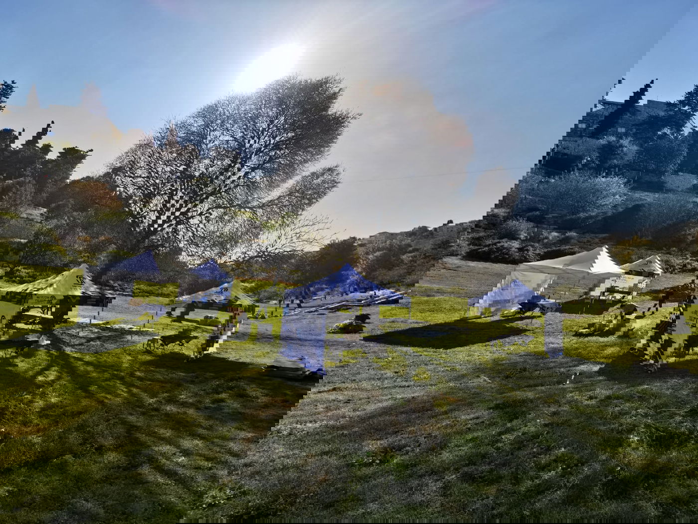 מהו גזיבו – דברים שכדאי לדעת אודותיו