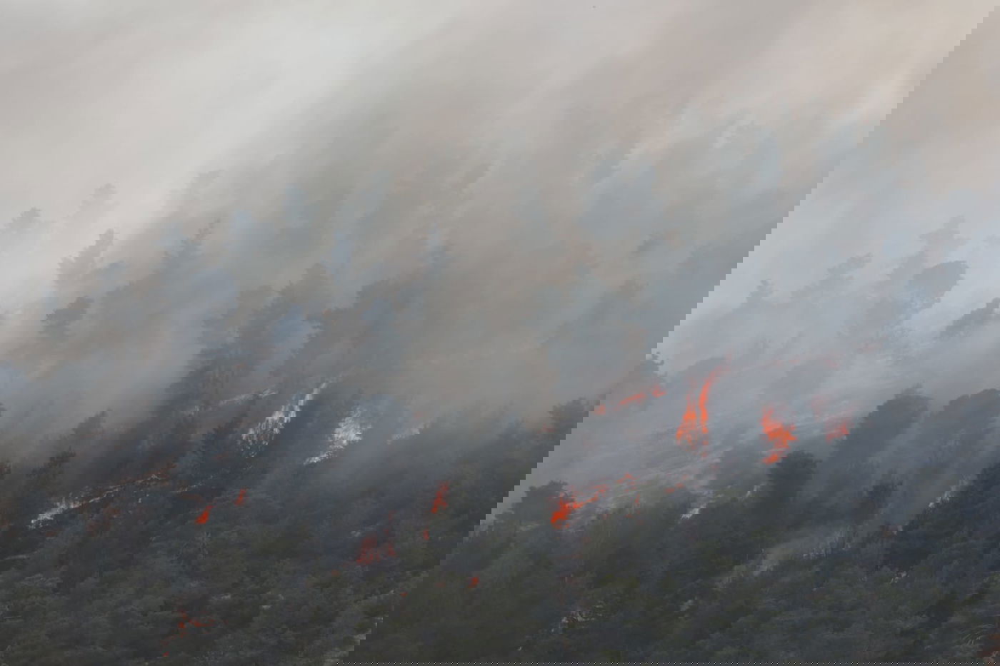 אש בוערת בהרי ירושלים; "הוסרה הסכנה מעל הישובים"