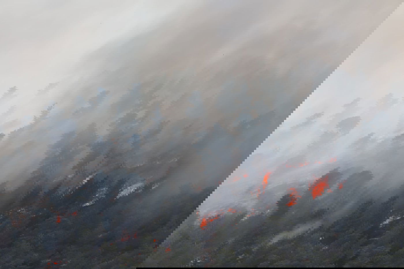 אש בוערת בהרי ירושלים; "הוסרה הסכנה מעל הישובים"