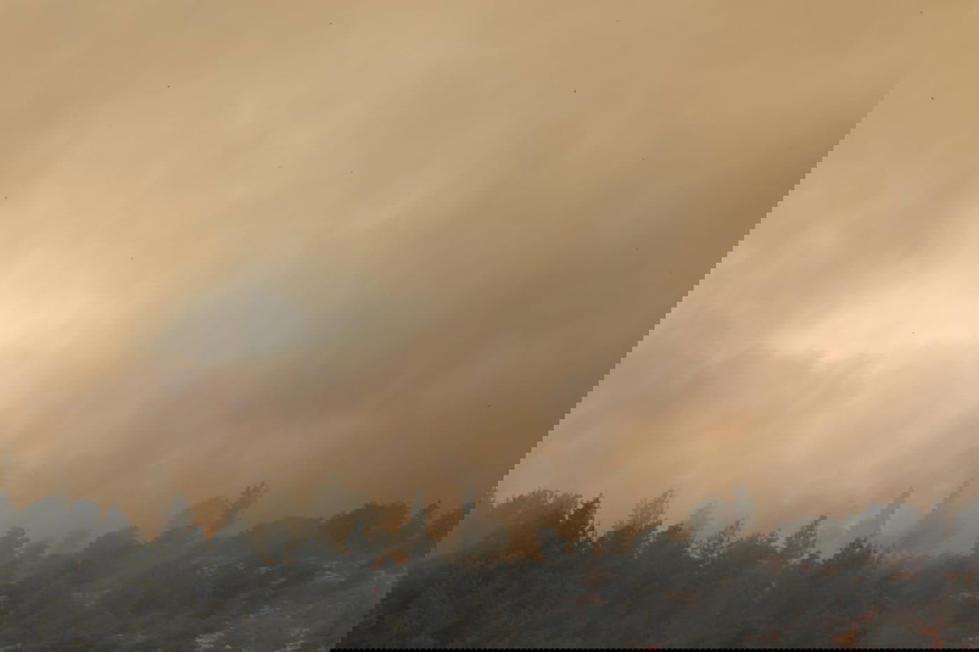 אש בוערת בהרי ירושלים; "הוסרה הסכנה מעל הישובים"