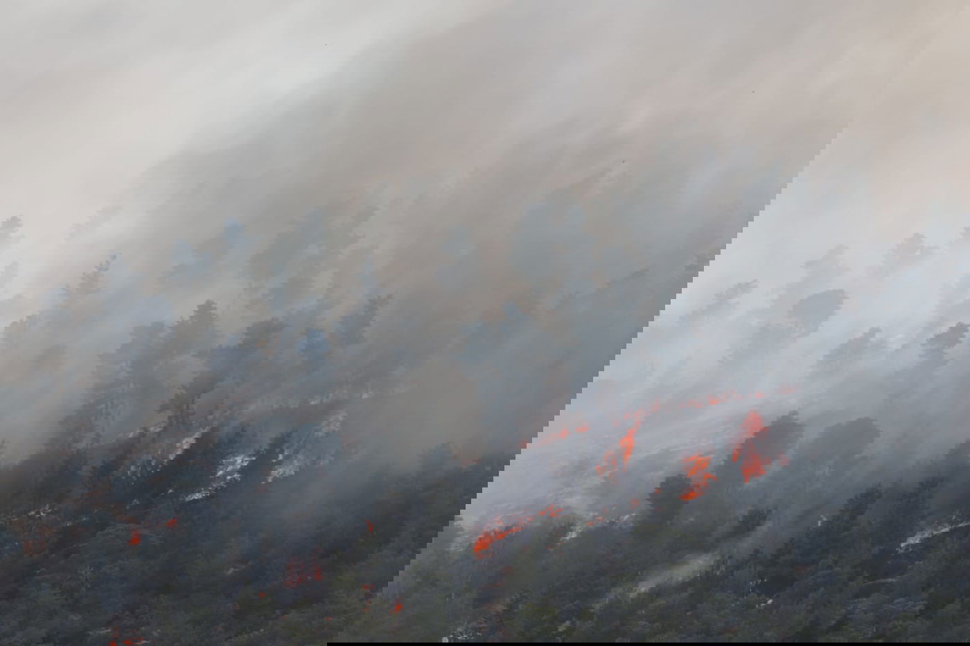 אש בוערת בהרי ירושלים; "הוסרה הסכנה מעל הישובים"