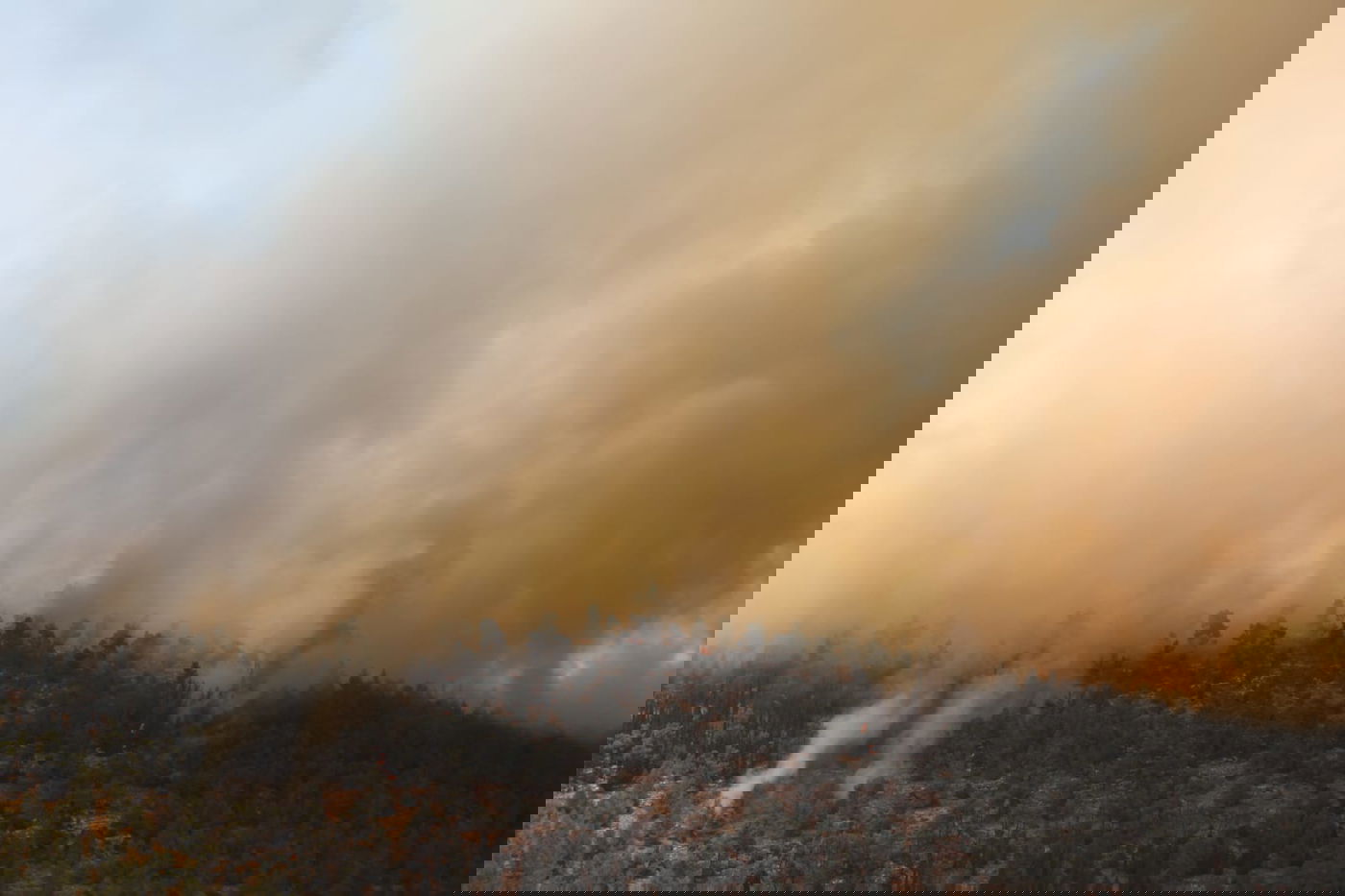 אש בוערת בהרי ירושלים; "הוסרה הסכנה מעל הישובים"