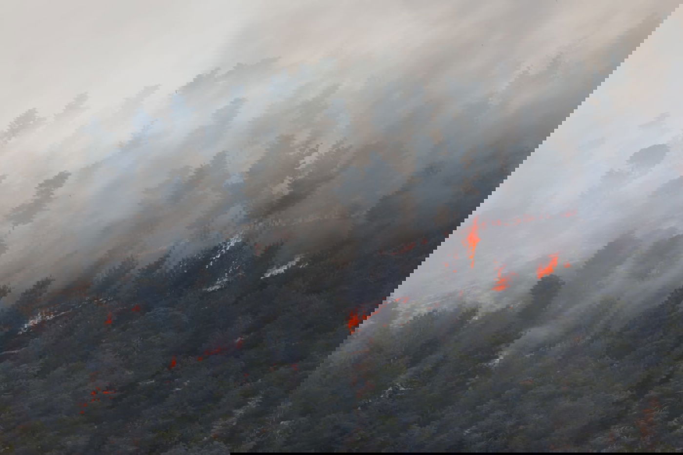 אש בוערת בהרי ירושלים; "הוסרה הסכנה מעל הישובים"