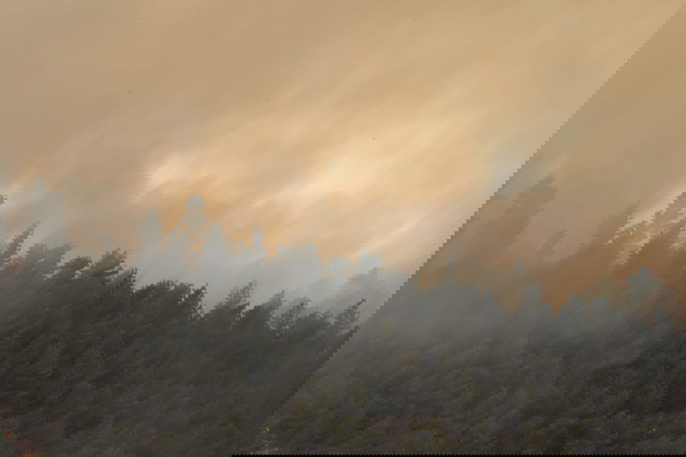 אש בוערת בהרי ירושלים; "הוסרה הסכנה מעל הישובים"