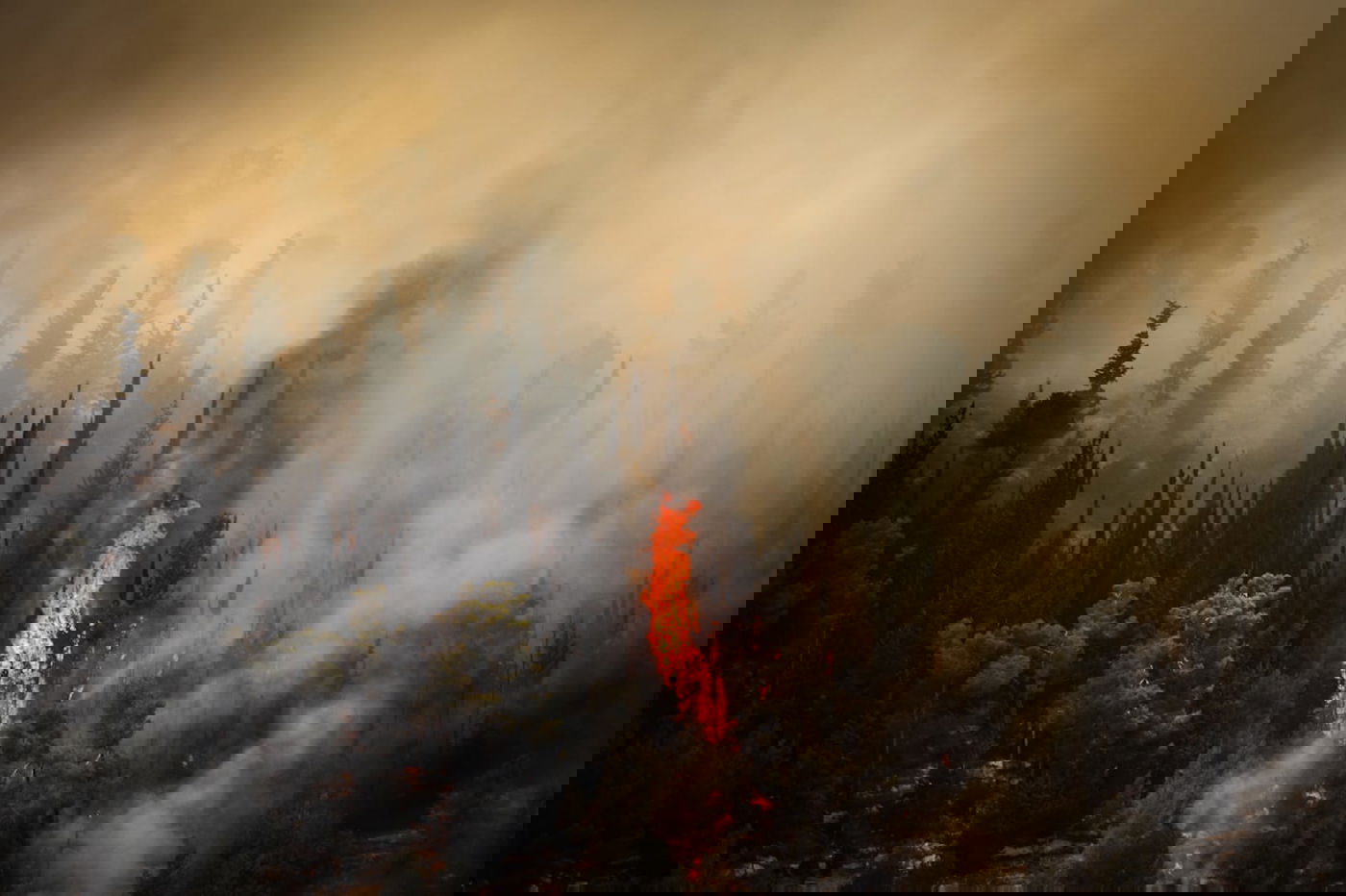 אש בוערת בהרי ירושלים; "הוסרה הסכנה מעל הישובים"