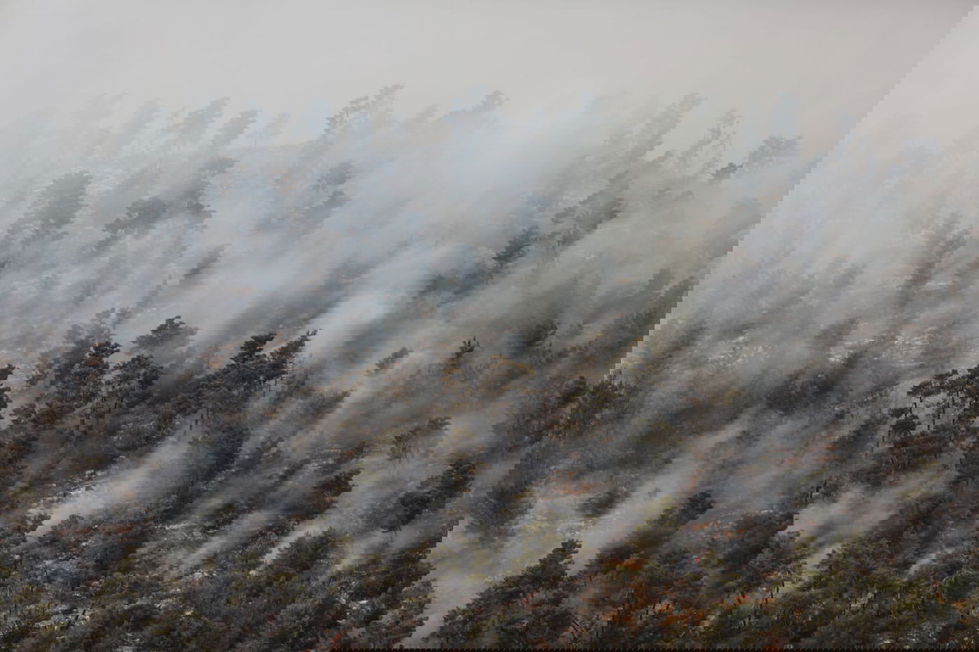 אש בוערת בהרי ירושלים; "הוסרה הסכנה מעל הישובים"