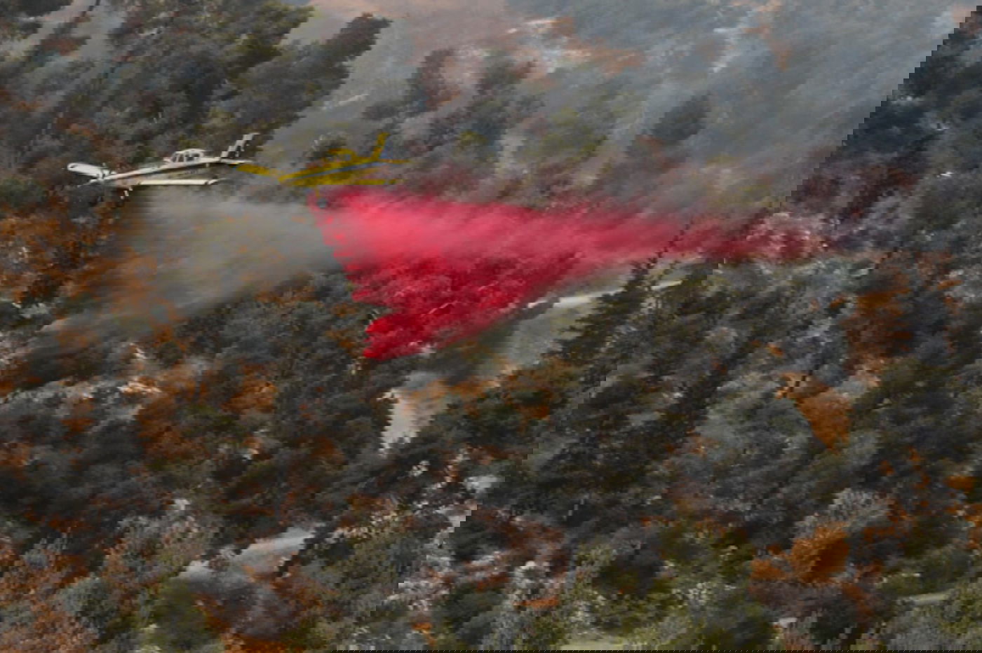 אש בוערת בהרי ירושלים; "הוסרה הסכנה מעל הישובים"