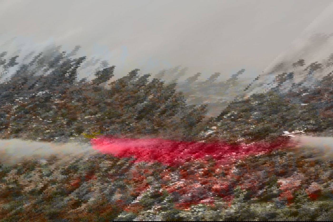 אש בוערת בהרי ירושלים; "הוסרה הסכנה מעל הישובים"