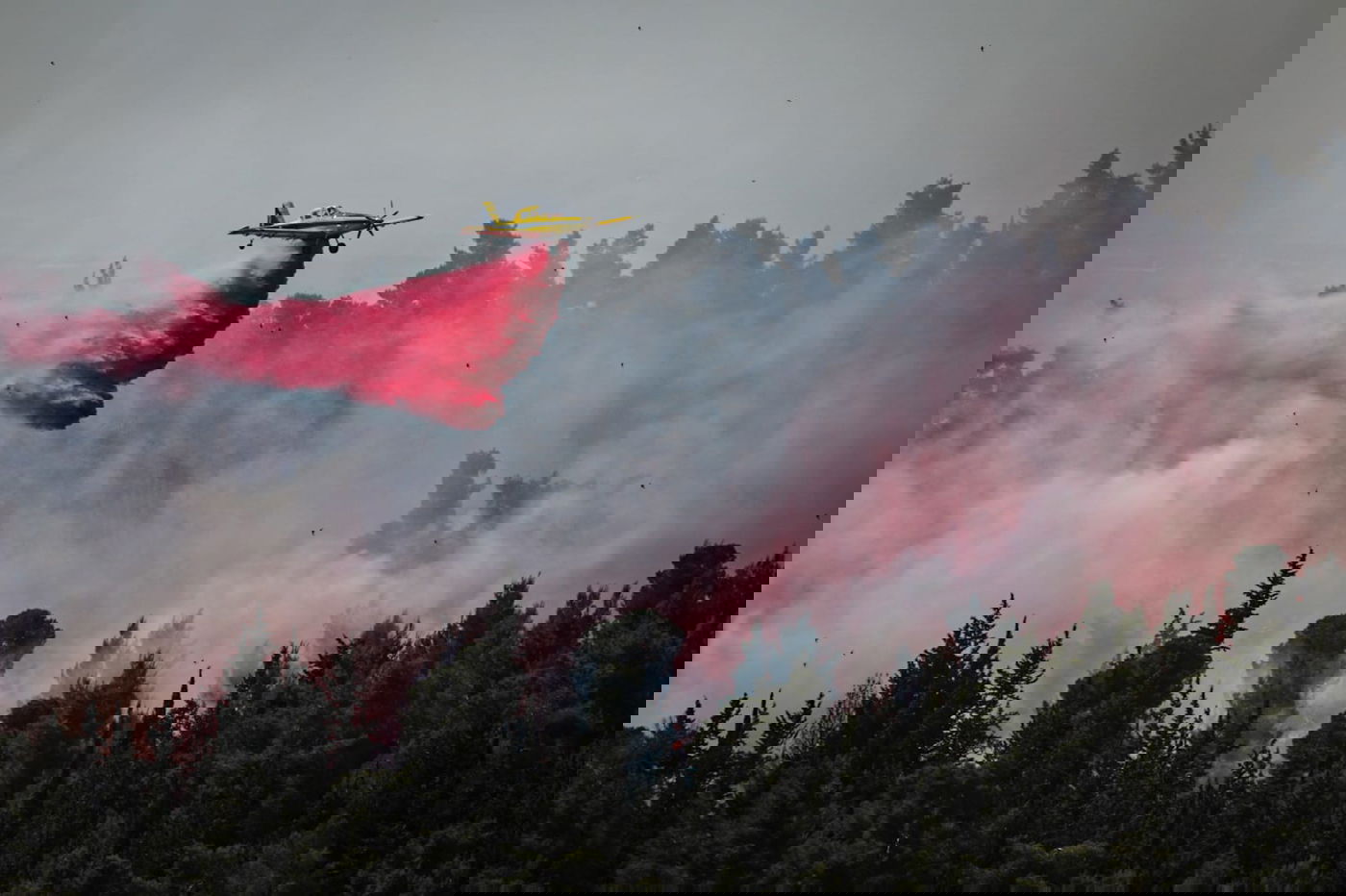 אש בוערת בהרי ירושלים; "הוסרה הסכנה מעל הישובים"