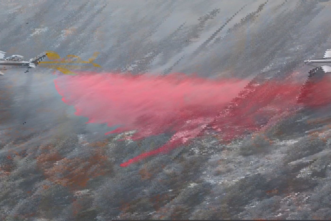 אש בוערת בהרי ירושלים; "הוסרה הסכנה מעל הישובים"