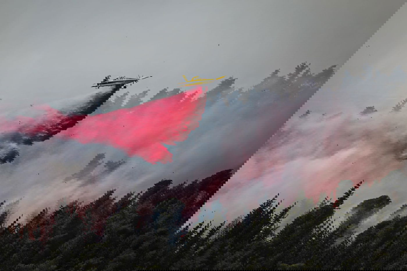 אש בוערת בהרי ירושלים; "הוסרה הסכנה מעל הישובים"