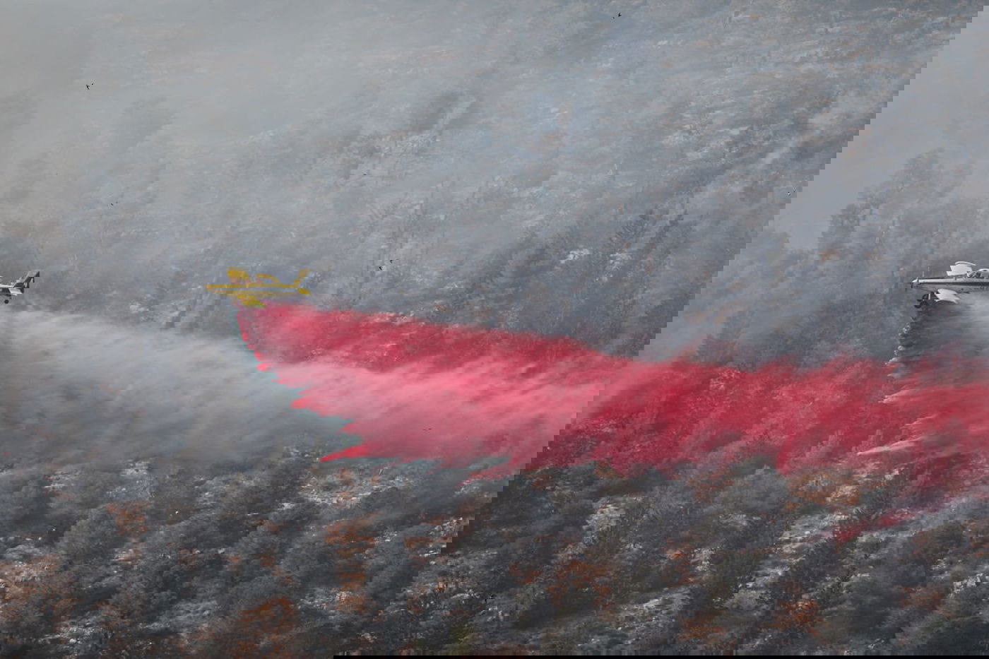 אש בוערת בהרי ירושלים; "הוסרה הסכנה מעל הישובים"