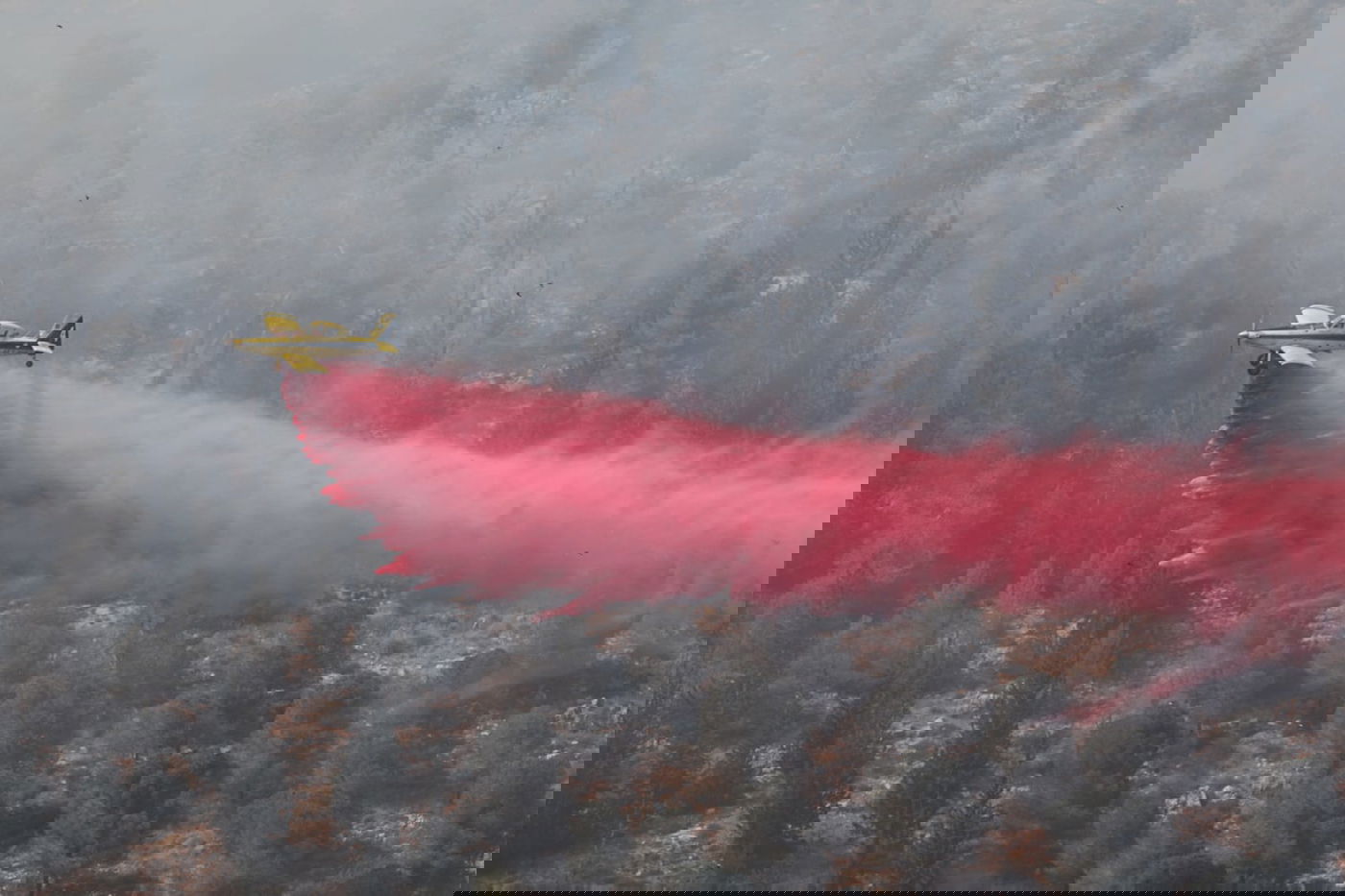 אש בוערת בהרי ירושלים; "הוסרה הסכנה מעל הישובים"