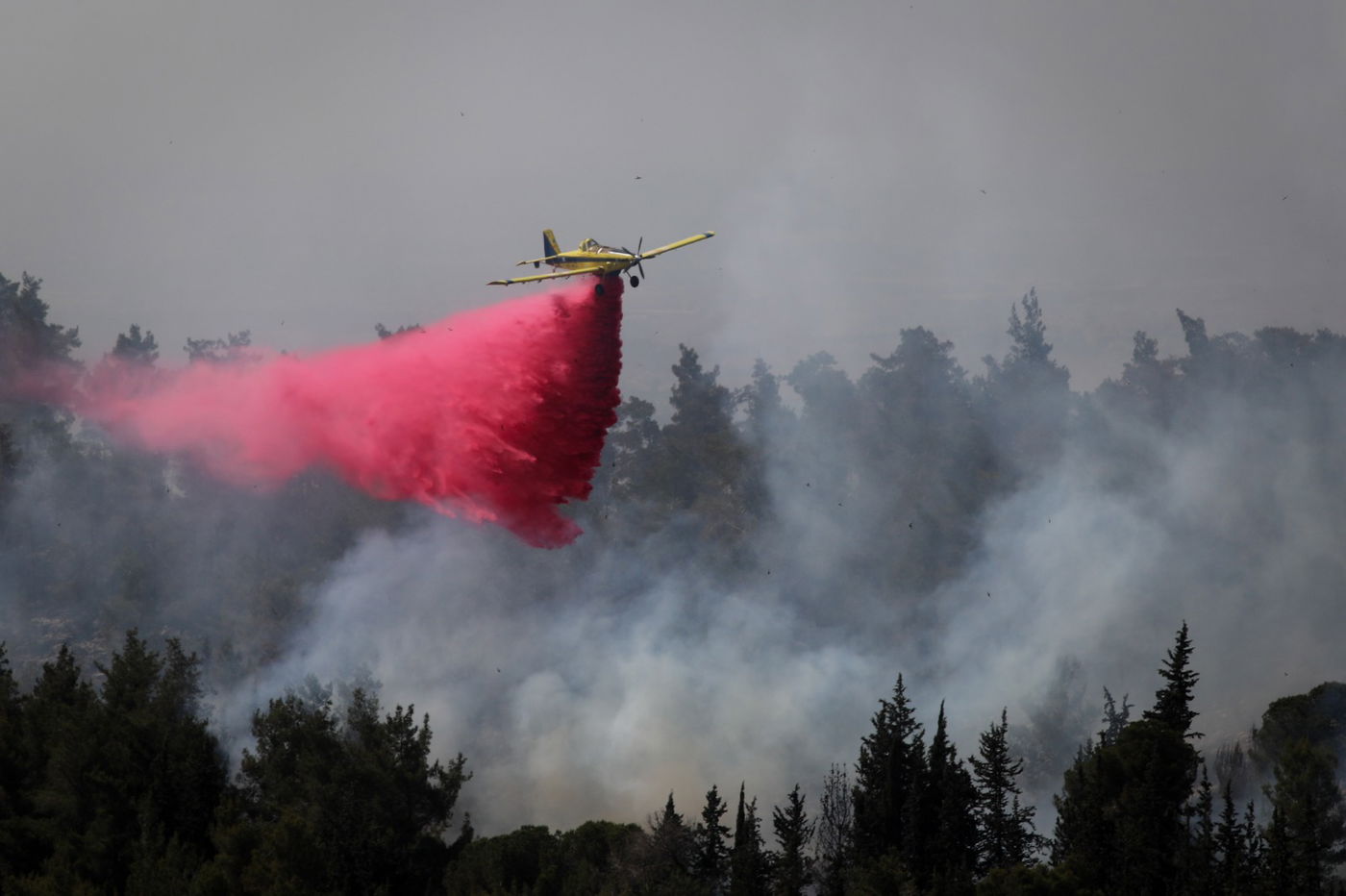 אש בהרי ירושלים; הגלריה של חיים גולדברג