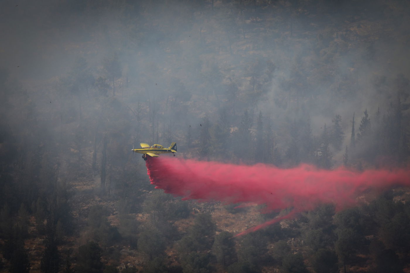 אש בהרי ירושלים; הגלריה של חיים גולדברג