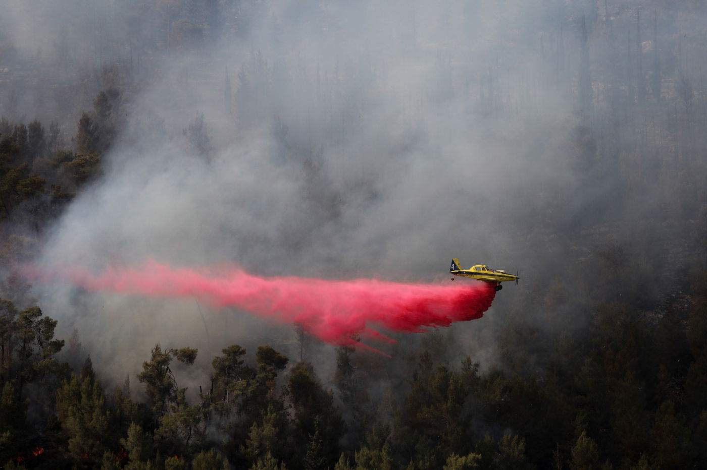 אש בהרי ירושלים; הגלריה של חיים גולדברג