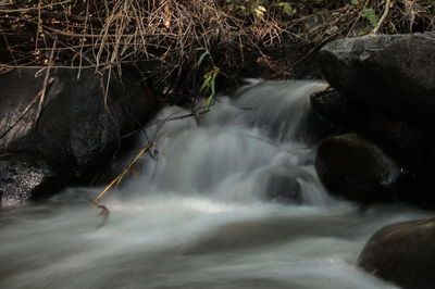 תיעוד: הזרימות המדהימות בנחלי הצפון
