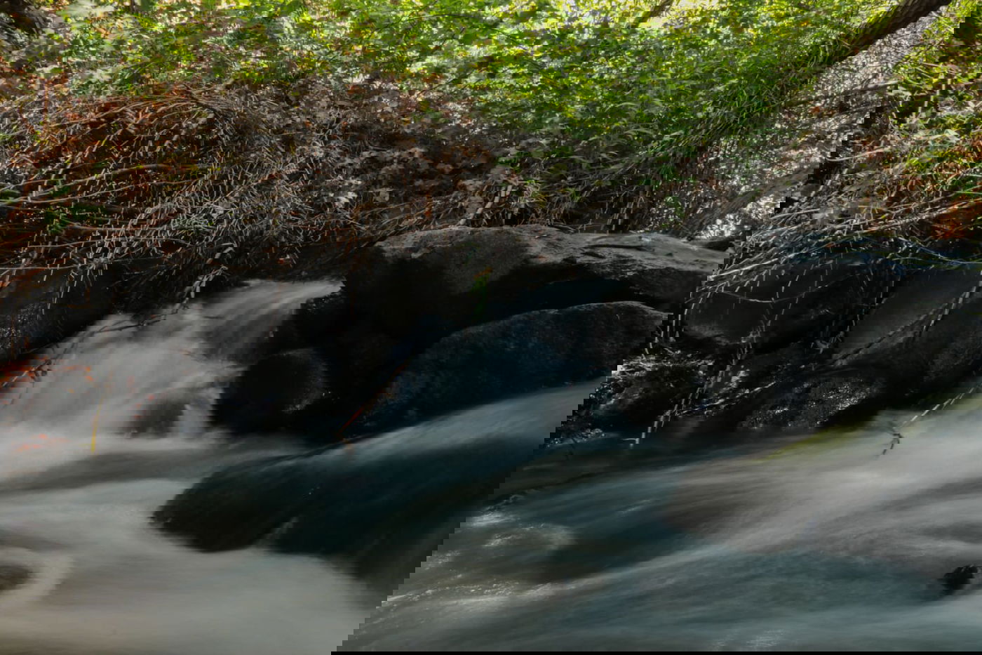 תיעוד: הזרימות המדהימות בנחלי הצפון