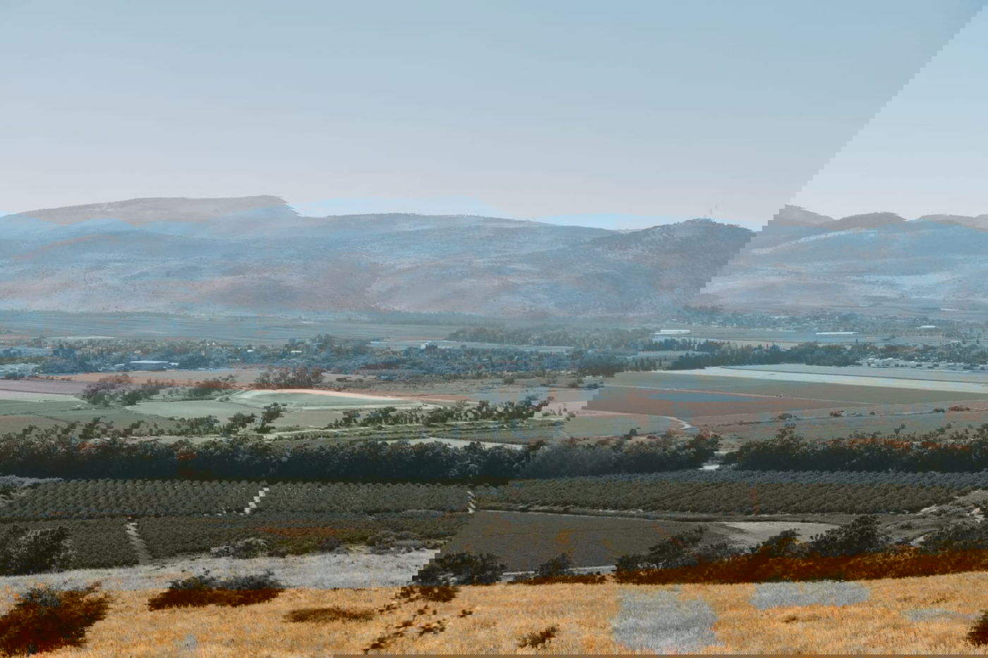 תיעוד: הזרימות המדהימות בנחלי הצפון