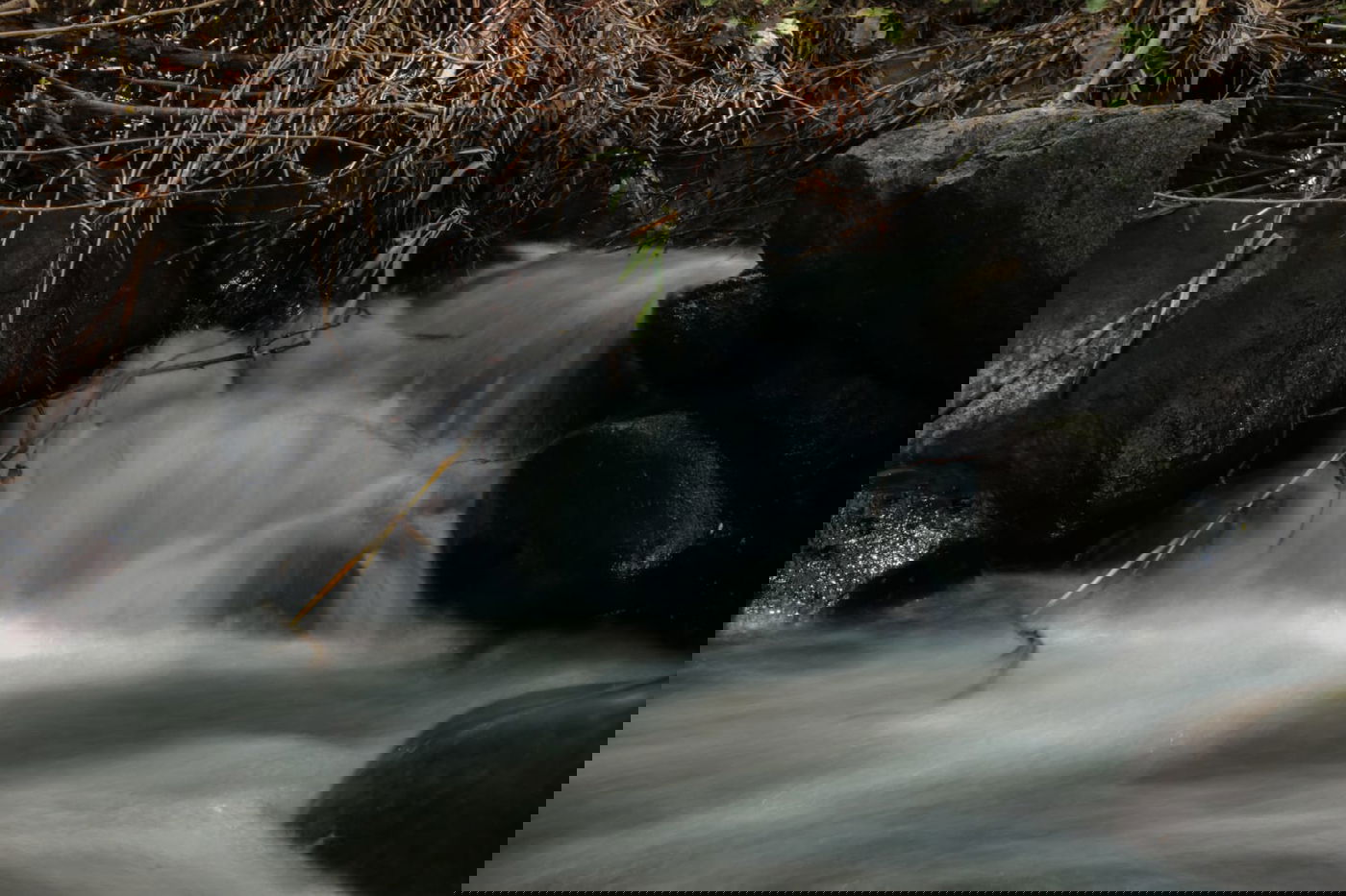 תיעוד: הזרימות המדהימות בנחלי הצפון