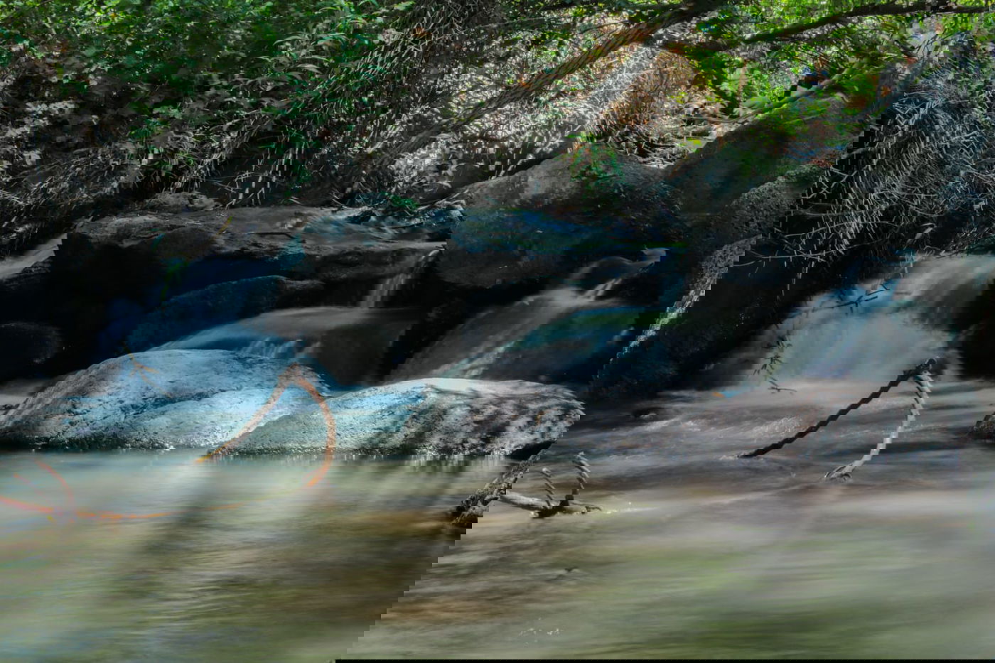 תיעוד: הזרימות המדהימות בנחלי הצפון