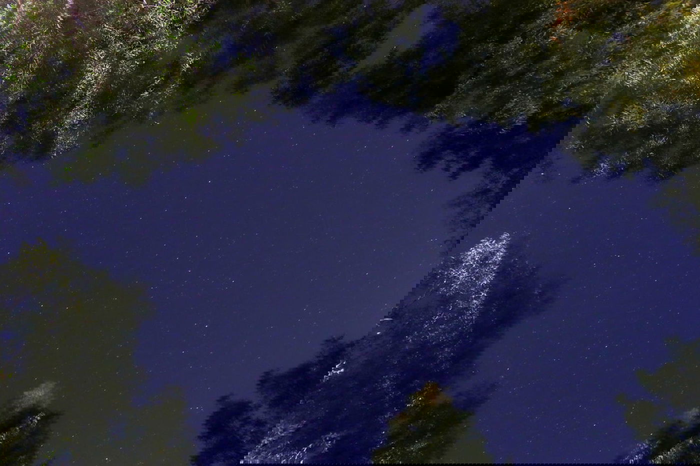 תיעוד: הזרימות המדהימות בנחלי הצפון