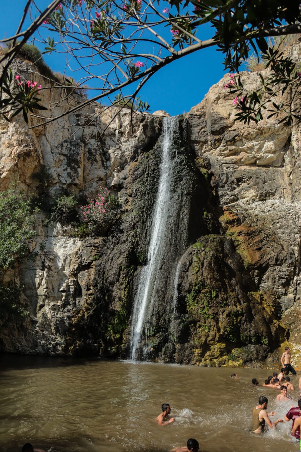 תיעוד: הזרימות המדהימות בנחלי הצפון