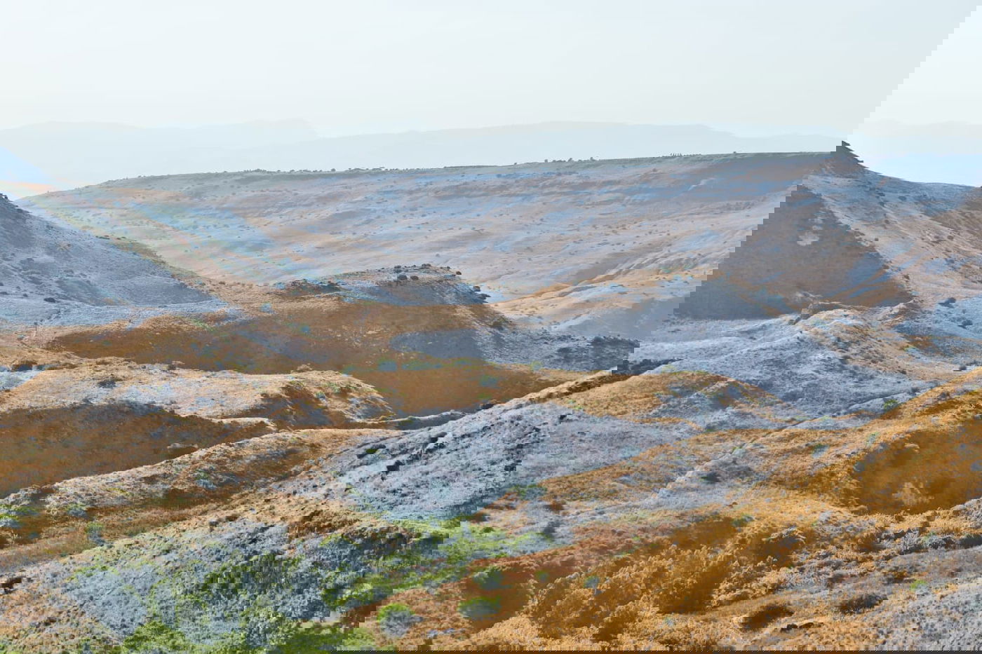 תיעוד: הזרימות המדהימות בנחלי הצפון
